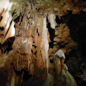 4 Zampe in Passerella alle Grotte di Pastena